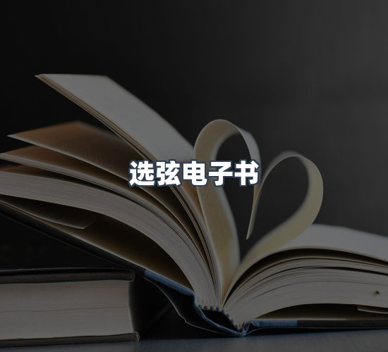 关于选弦电子书